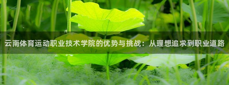 JJB竞技宝官网下载平台假的吗是真的吗吗：云南体育运
