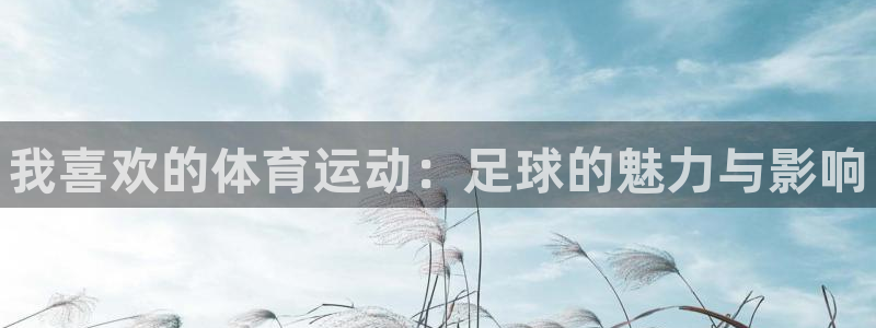 JJB竞技宝官网下载招商电话：我喜欢的体育运动：足球