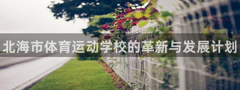 JJB竞技宝官方正版app集团E.ON：北海市体育运