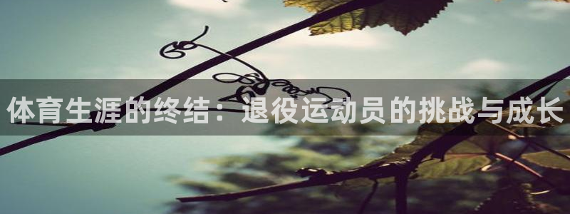 JJB竞技宝官网下载平台注册流程图：体育生涯的终结：