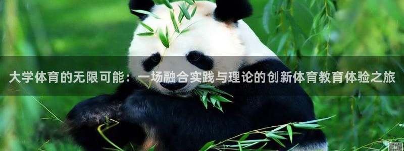 JJB竞技宝官网下载招商：大学体育的无限可能：一场融