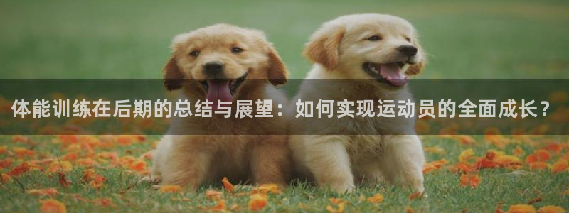 JJB竞技宝官网下载开户：体能训练在后期的总结与展望