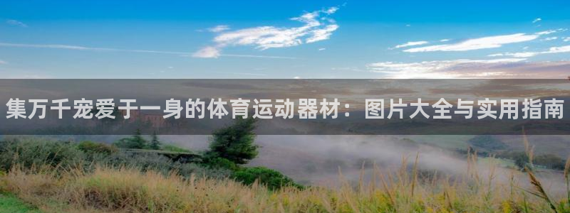JJB竞技宝官网下载平台注册流程图：集万千宠爱于一身的体育运