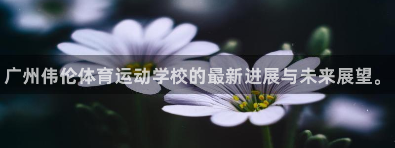海南JJB竞技宝官网下载发展怎么样：广州伟伦体育运动