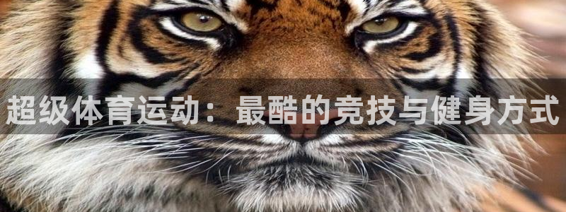 JJB竞技宝官网下载平台注册流程视频：超级体育运动：最酷的竞