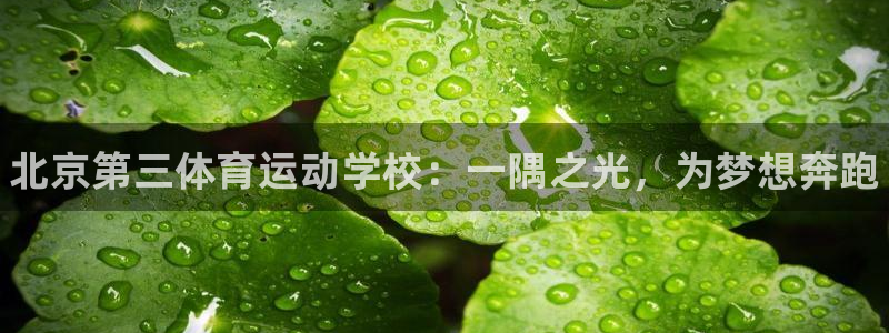 JJB竞技宝官网下载开户：北京第三体育运动学校：一隅之光，为