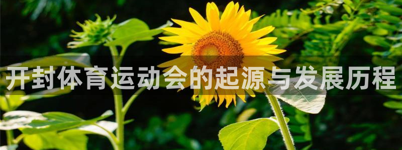 JJB竞技宝官网下载招商电话：开封体育运动会的起源与发展历程
