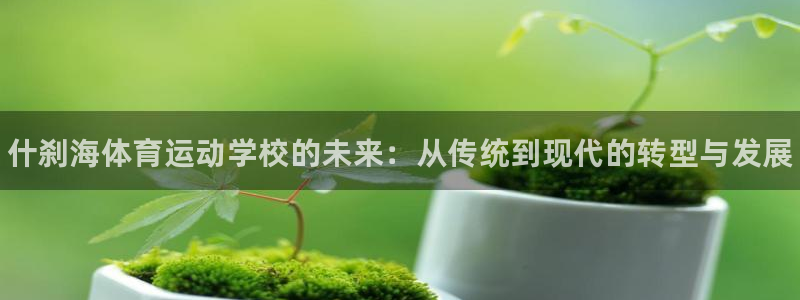 海南JJB竞技宝官网下载发展怎么样：什刹海体育运动学校的未来