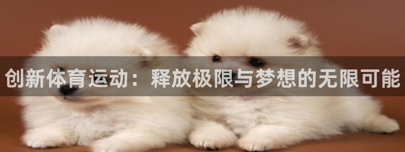 JJB竞技宝官方正版app官方：创新体育运动：释放极限与梦想