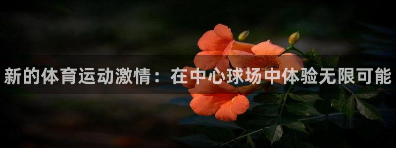 JJB竞技宝官网下载招商电话号码：新的体育运动激情：在中心球
