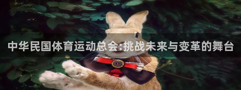 JJB竞技宝官方正版app集团：中华民国体育运动总会