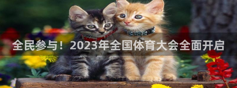 JJB竞技宝官网下载娱乐：全民参与！2023年全国体