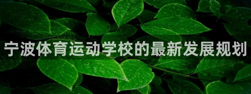 JJB竞技宝官网下载官方客服电话：宁波体育运动学校的