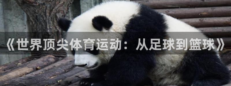 JJB竞技宝官网下载平台注册要钱吗安全吗:《世界顶尖体育运动