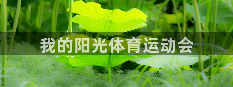 JJB竞技宝官方正版app娱乐网站：我的阳光体育运动会