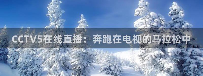 919体育：CCTV5在线直播：奔跑在电视的马拉松中