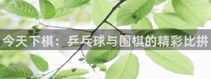 nba直播919：今天下棋：乒乓球与围棋的精彩比拼
