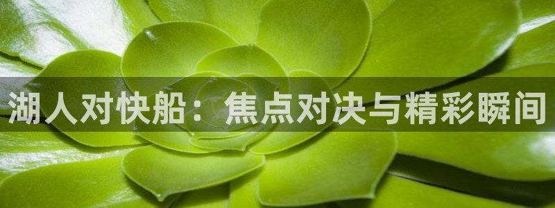 919直播足球：湖人对快船：焦点对决与精彩瞬间