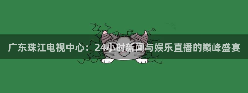 919nba直播看球观看：广东珠江电视中心：24小时新闻与娱乐直播的巅峰盛宴