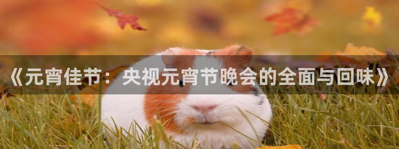 919直播间官网：《元宵佳节：央视元宵节晚会的全面与回味》