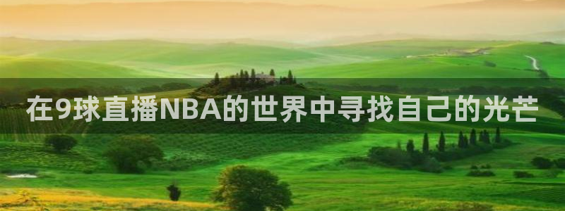 919看球直播官网入口：在9球直播NBA的世界中寻找自己的光芒
