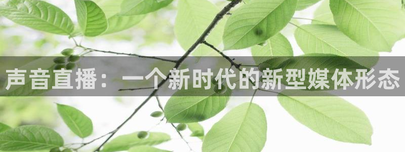 919直播体育在线直播在线看