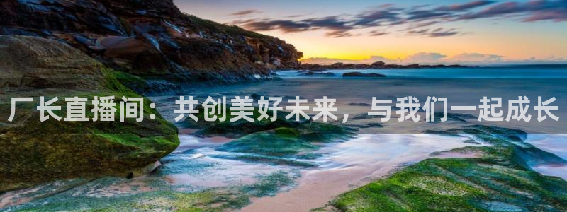 919nba直播：厂长直播间：共创美好未来，与我们一起成长