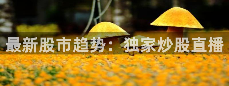 919体育在线直播官网：最新股市趋势：独家炒股直播